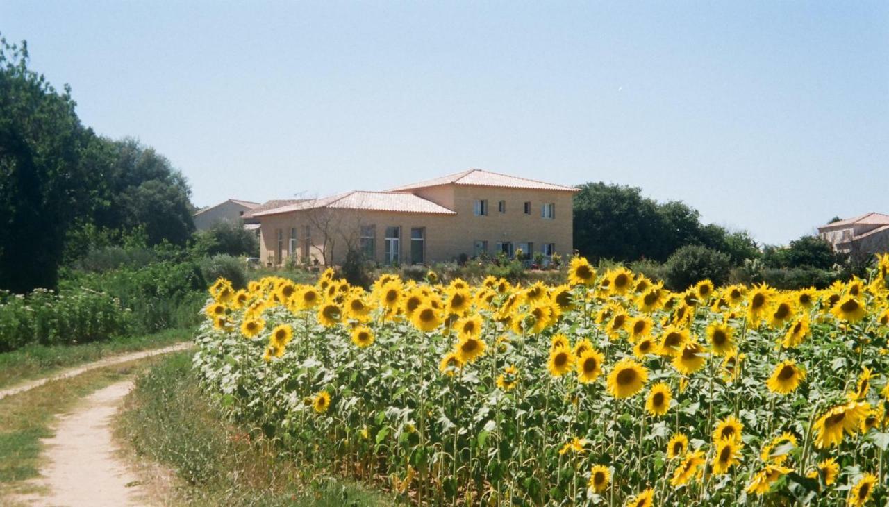 Villa La Charmeuse Fleurie Collias Eksteriør bilde